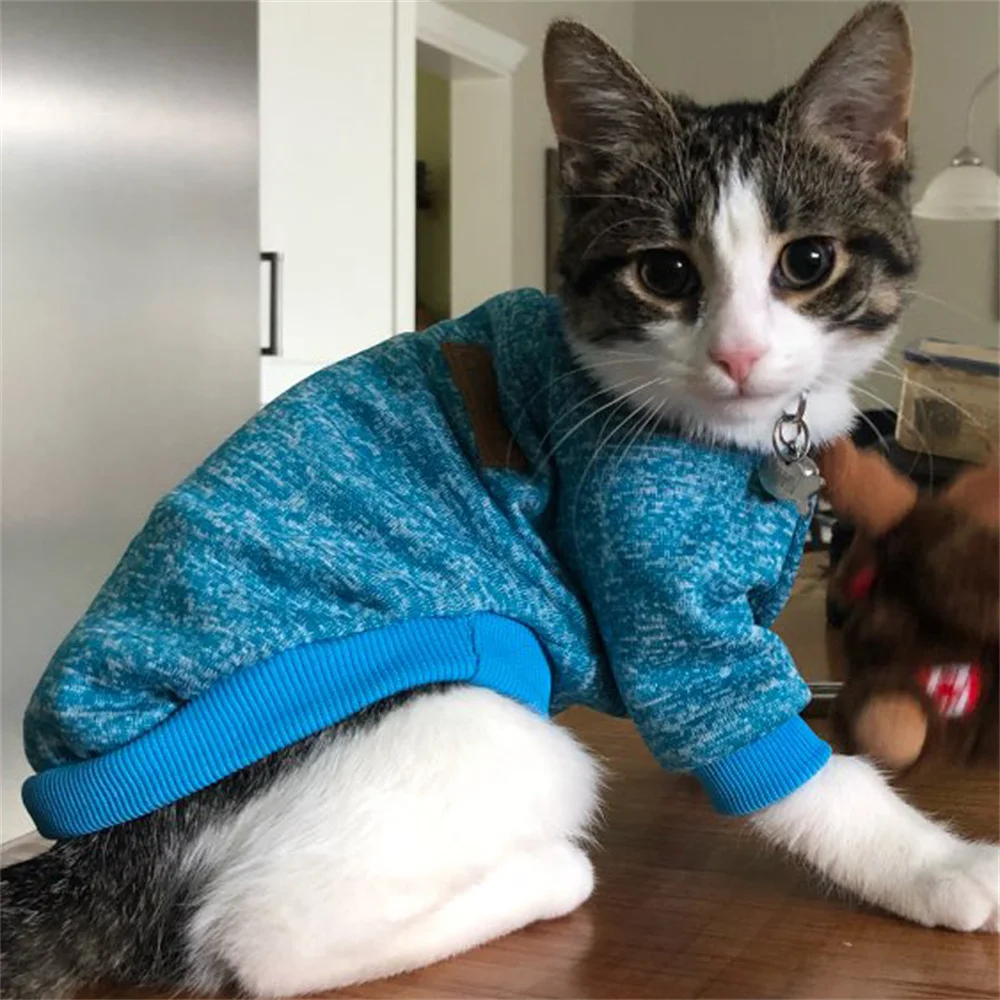 Ropa cálida de invierno para gatos Sphynx, Sudadera con capucha, suéter clásico para mascotas, Gotas Kedi, jerséis persa siamés, mascotas, ropa para gatos - imagen 5