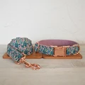 Dog Collar Leash Set