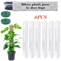 6Pcs-Moss Pole