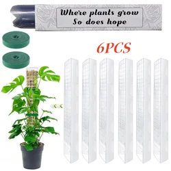 Tutor de musgo para plantas trepadoras – Varilla soporte extensible interior