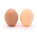 2PCS