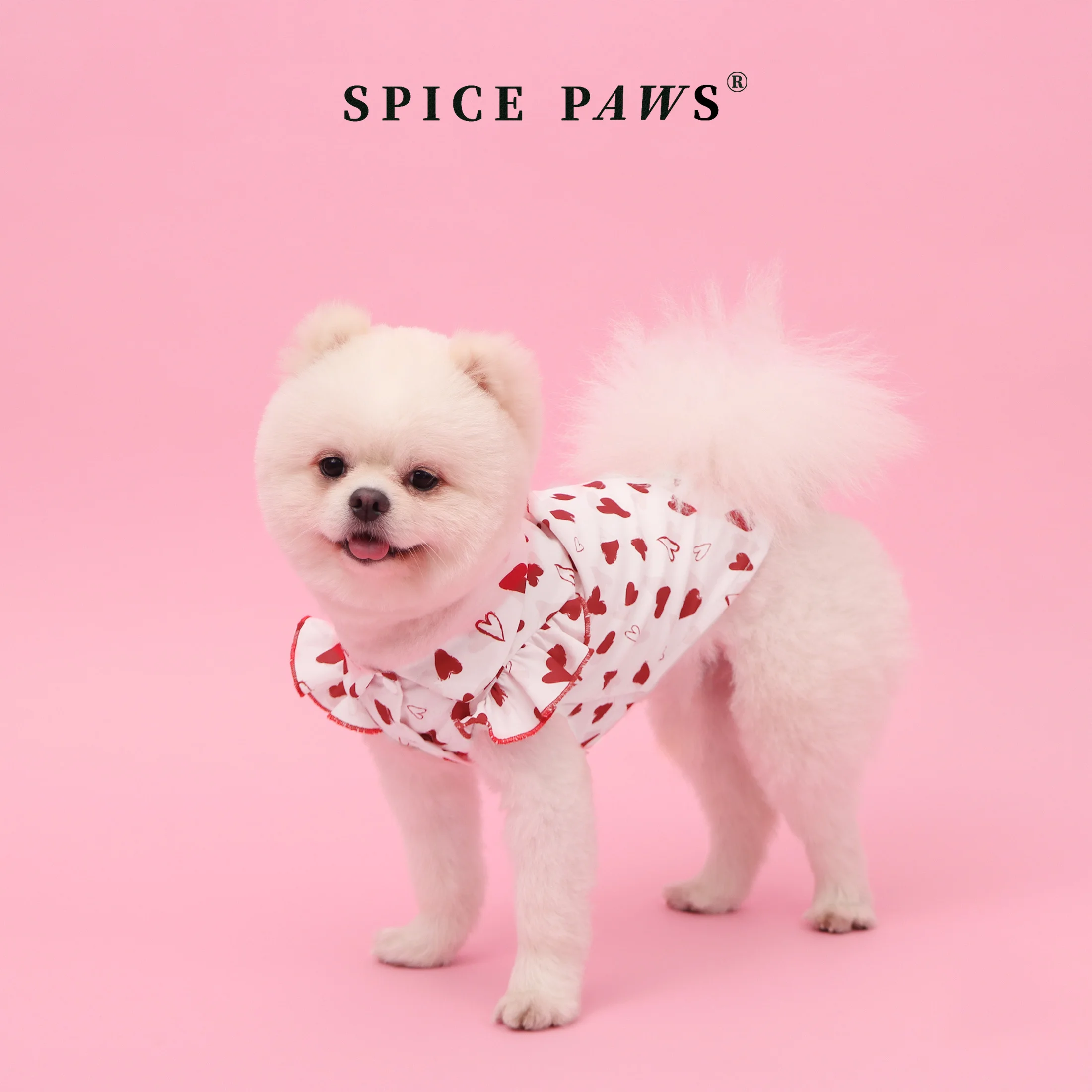 Camiseta con corazón para perros – Jersey temática divertido - imagen 3