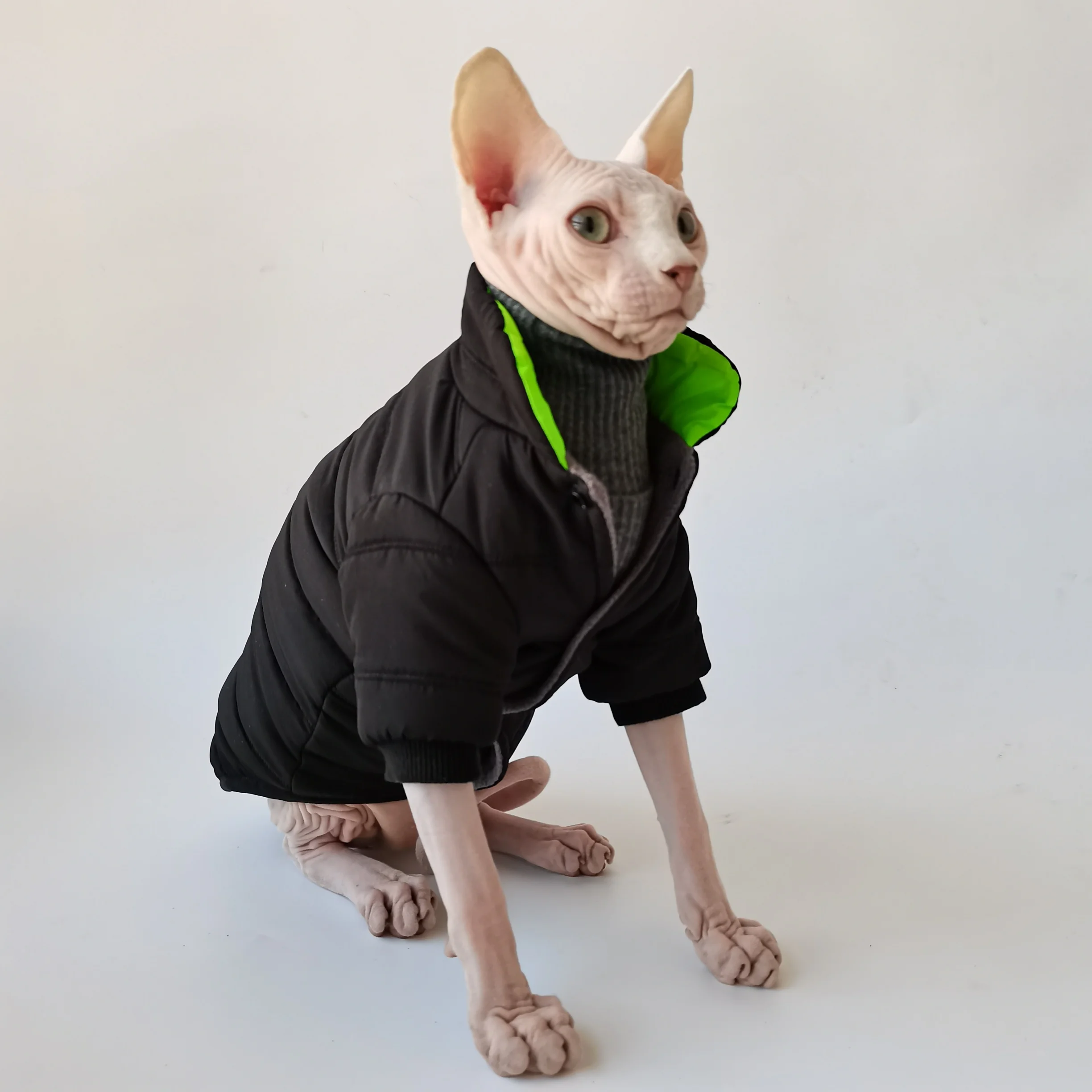 Chaqueta de invierno para gatos Sphynx y Devon Rex – Cuello alto - imagen 2