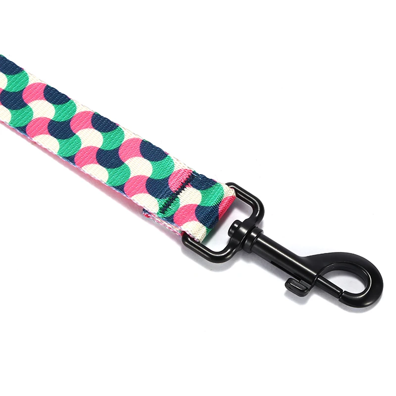 PLATTCO Cuerda para caminar para perros suave y cómoda de nailon de imitación nueva GUMMY WORMS 5 especificaciones 120cm PDL317 - imagen 5