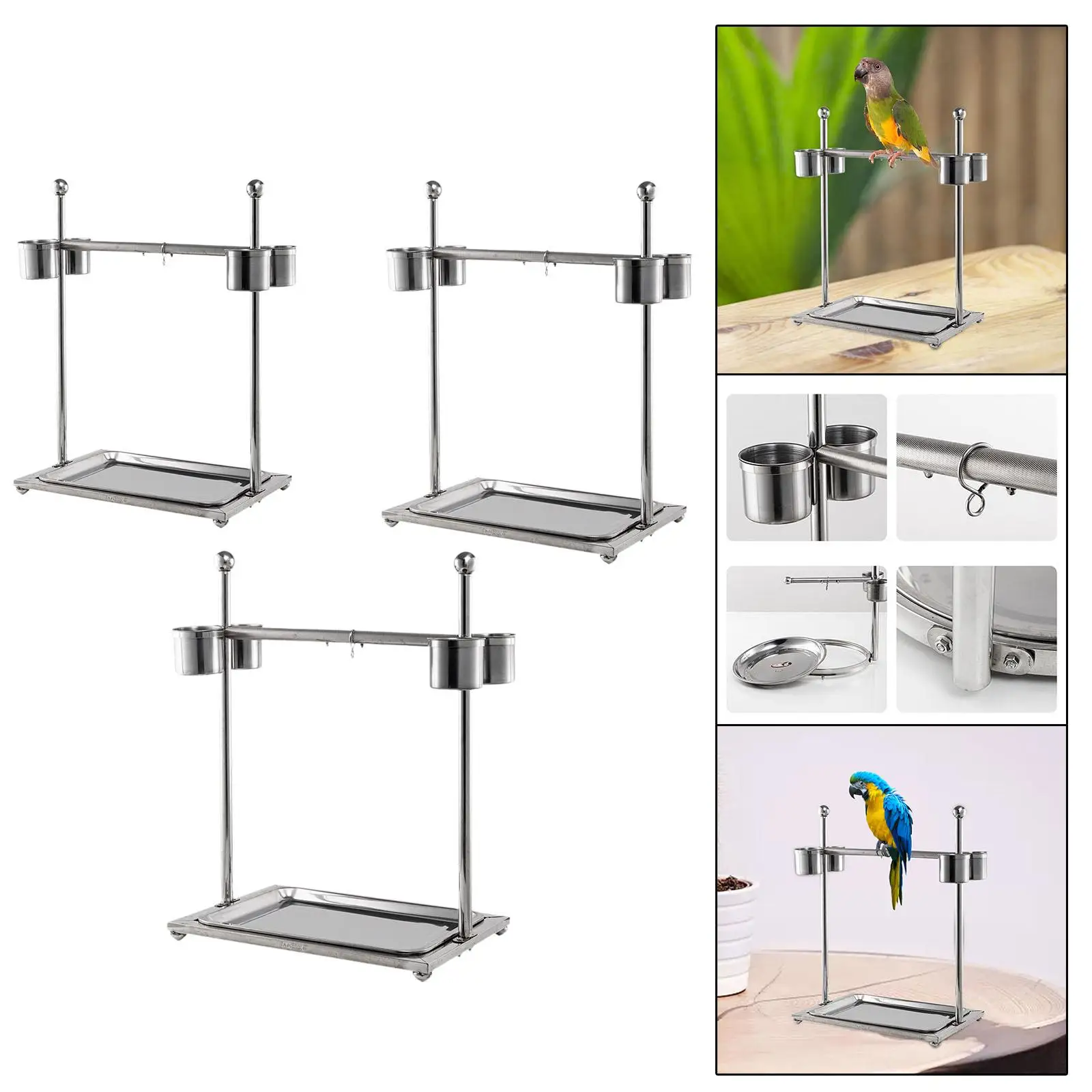Pet Parrot Playstand Tabletop Bird Stand for Finches Cockatiels Cockatoo