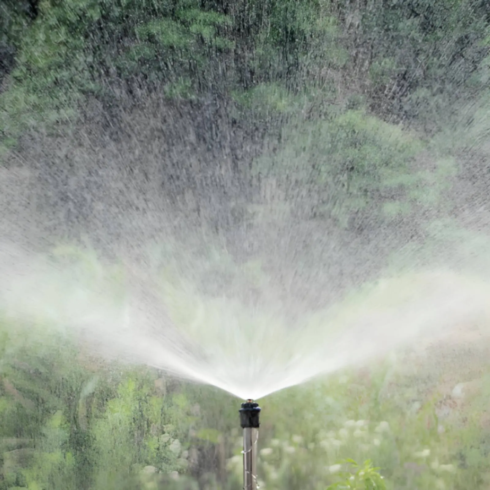 Aspersor de jardín de latón ajustable con rociado fino y eficiente - imagen 5