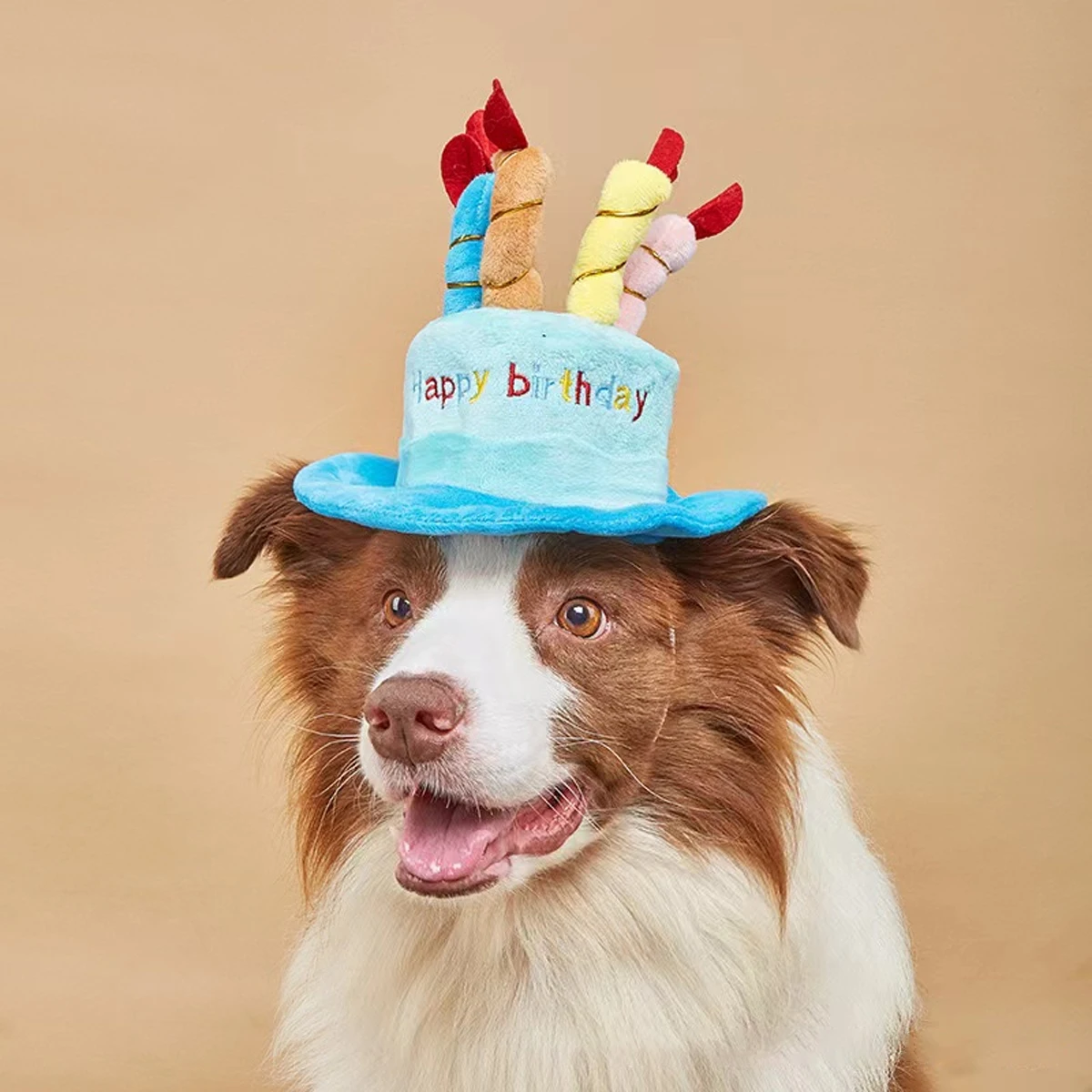 Sombrero de cumpleaños para mascotas, sombrero ajustable con velas de colores, disfraz de fiesta de cumpleaños para perros