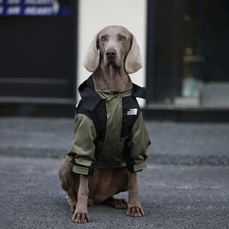 Ropa de moda para perros, chaqueta impermeable para intercambio de perros para Golden Retriever Labrador Media, perros grandes en invierno y primavera
