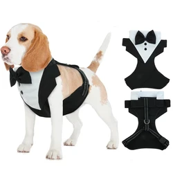 Arnés esmoquin con moño para perros – Accesorio de celebración