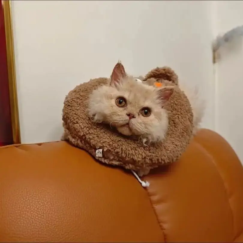 Collar isabelino de felpa para perros y gatos – Cuidado heridas - imagen 5