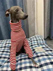 Suéter a rayas rojas de cuello alto para galgo italiano y whippet