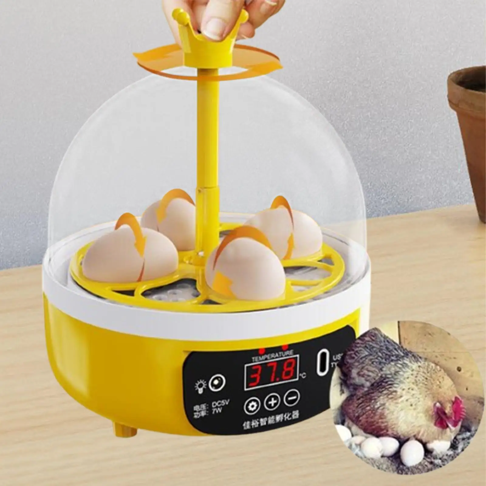 Smart Egg Incubator Science and Education Clear Top Cover Egg Hatcher Digital Poultry Poultry Hatcher Egg Hatching for Quail