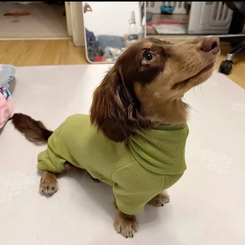 Ropa de otoño e invierno para perros Wiener, sudadera verde de lana para perros pequeños medianos de perro salchicha, abrigo cálido de 4 patas para perros salchicha - imagen 2