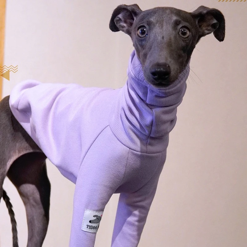 Ropa púrpura de 2 patas de Galgo Italiano, ropa de Whippet elástica suave, pijamas de algodón cálido para perros, otoño e invierno, moda - imagen 2