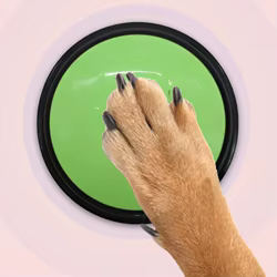 Juguetes grabables y botones parlantes portátiles para perros – Viajes