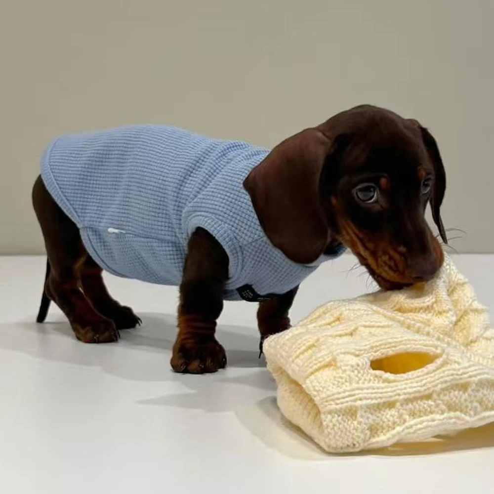 Conjunto primavera de mangas suaves y chaleco elástico para Dachshund