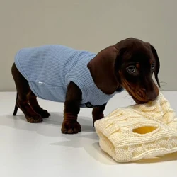 Conjunto primavera de mangas suaves y chaleco elástico para Dachshund
