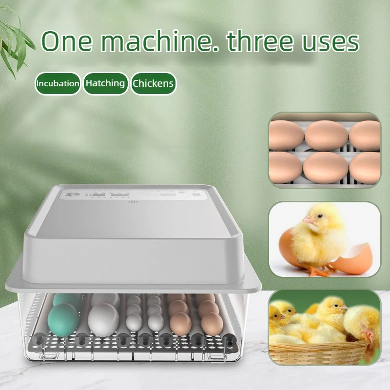 Incubadora automática para huevos – Pato, ganso y paloma - imagen 4