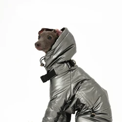 Chaqueta impermeable para galgo y whippet – viento y lluvia
