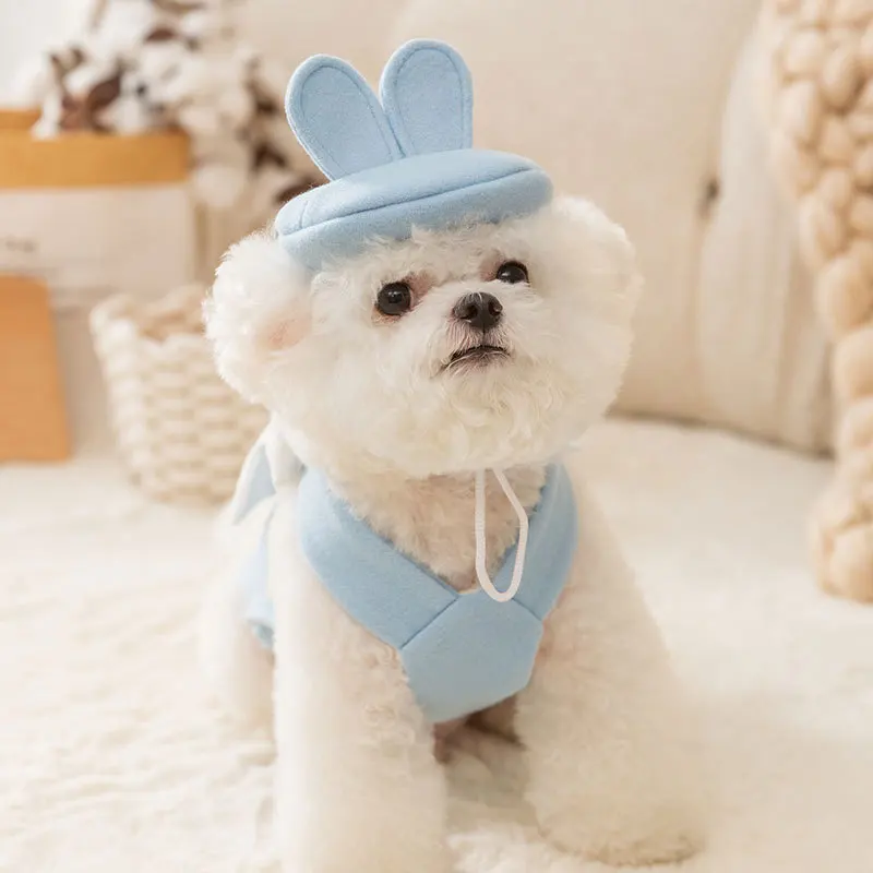 Mignon chiot automne et hiver chien vêtements princesse Style grand nœud jarretelle chiens robe pour petit chien jupe Teddy chat chien vêtements - imagen 4