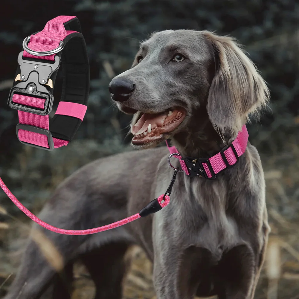 Durable Metal Buckle Pet Collars for Medium Large Dogs Solid Nylon Big Dog Collar with Handle Greyhound mascotas Accessories