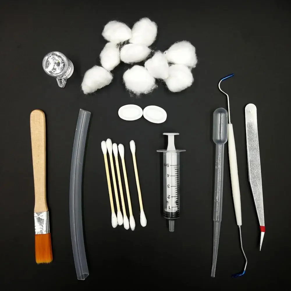 Juego de herramientas para principiantes de granja de hormigas con tazón de agua para alimentación de alimentos para nido de hormigas, kit de herramientas para mascotas, canal cuentagotas, manguera, hormigas, casa, taller