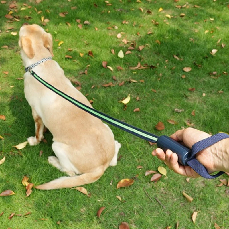 Correa nocturna para perro, correa reflectante multiusos para perro, correas duraderas y extendidas para perros, cómoda cuerda de plomo para mascotas y gatos - imagen 3