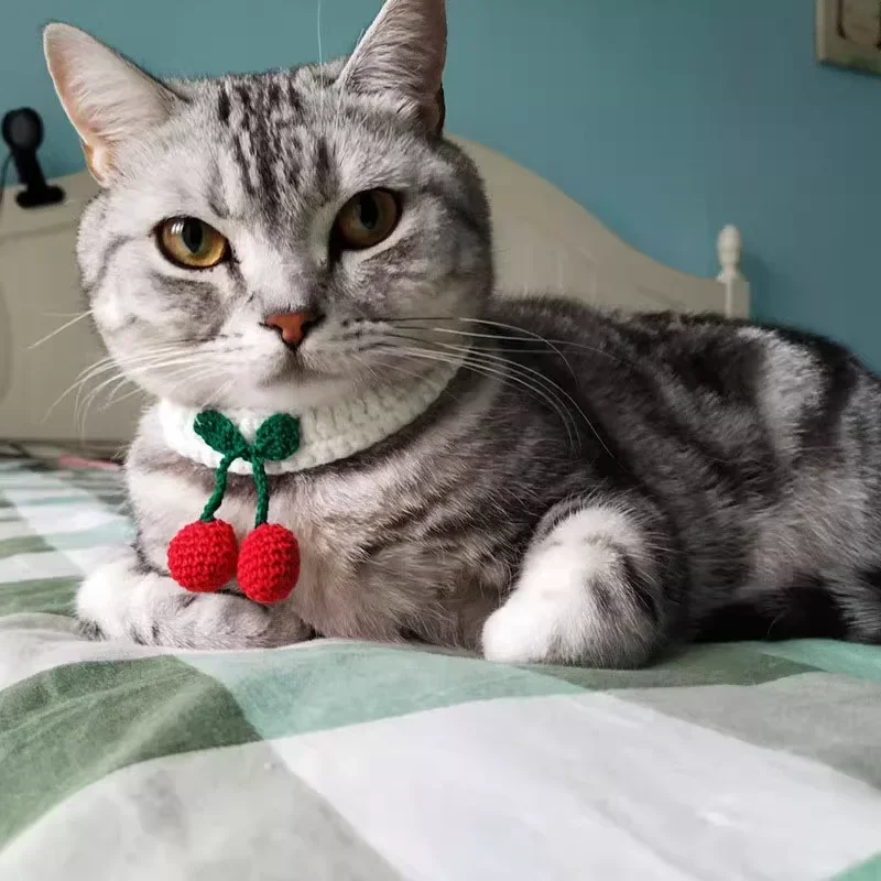 Collar de perro silencioso de lana tejido hecho a mano elegante cuello de cereza Collar para mascotas perro pequeño cereza cuello bucle suministros para mascotas - imagen 3