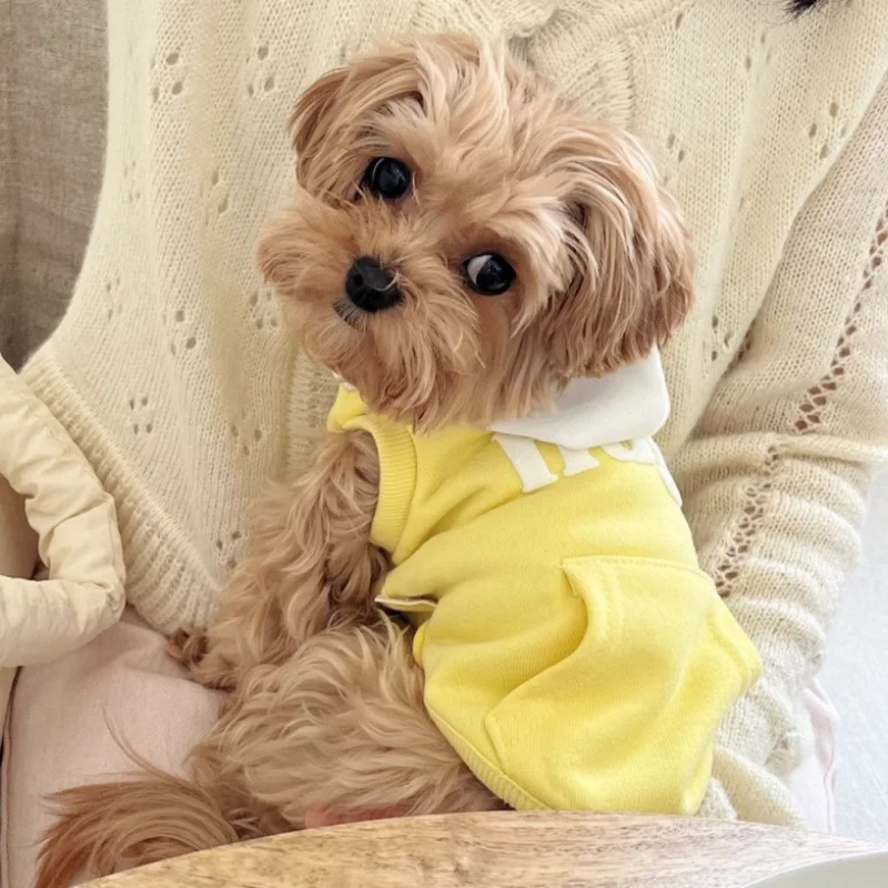Sudaderas con capucha con estampado de letras para perros, ropa sólida a la moda para perros, jerséis para cachorros de otoño, sudaderas suaves y cálidas para gatos, sudaderas con capucha para mascotas, disfraces de Bichon - imagen 4