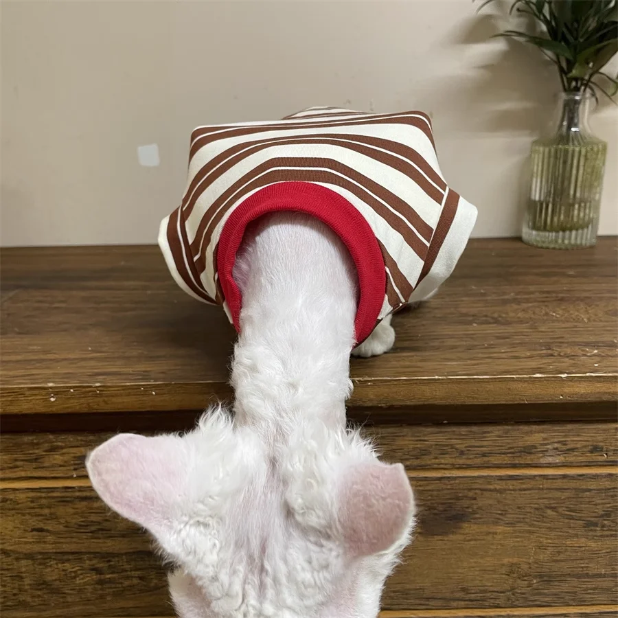 Traje de verano suave para gato de cuatro patasCamiseta marrón de manga corta a rayas de algodón para Sphinx Cat en primavera Chaleco suave para gatitos - imagen 4