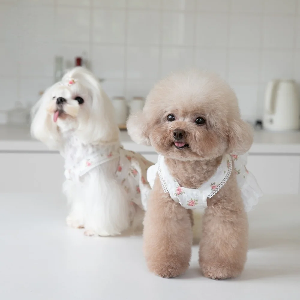 Falda pequeña de encaje con estampado de flores para mascotas, ropa de peluche para perros y gatos, cinturón bonito, vestido para cachorros, ropa para perros - imagen 3