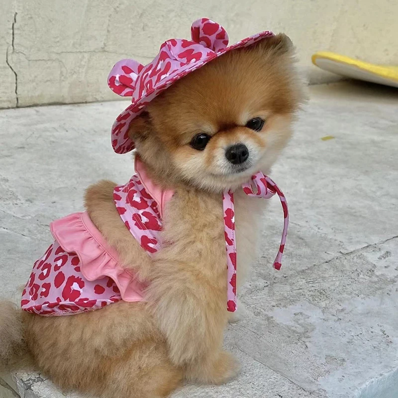 Ropa de verano para mascotas, conjunto de Bikini y gorro de baño para perros pequeños, traje de baño para Chihuahua, Yorkshire - imagen 5