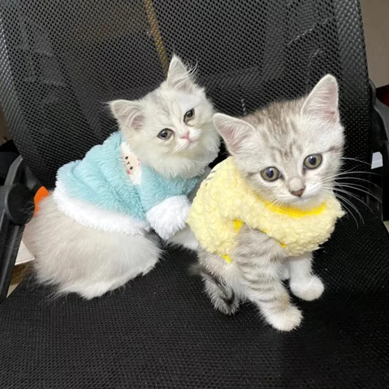 Ropa de terciopelo para gatos y gatitos recién nacidos, suéter cálido de invierno para mascotas pequeñas, jerséis de conejitos, ropa, taza de té, caniche XXXS - imagen 3