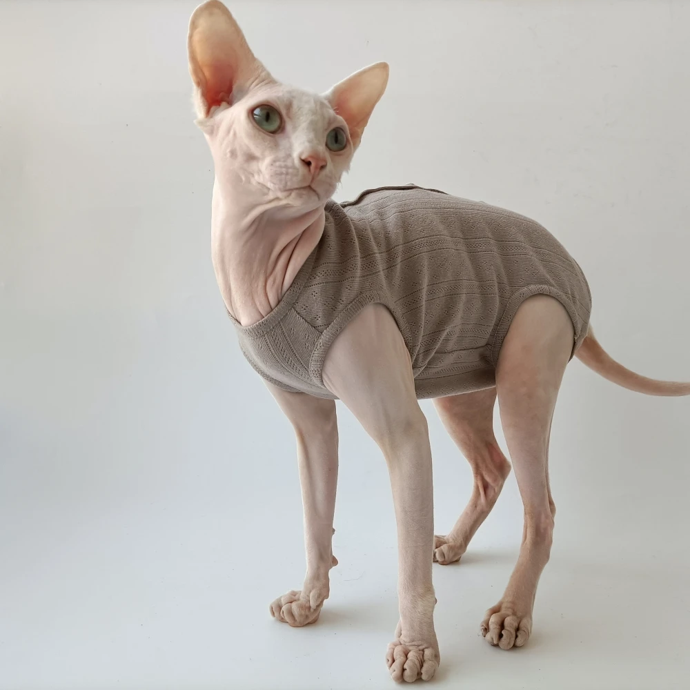 Ropa de verano para gatos Sphynx ropa de verano pijama de algodón de cuatro piernas herida de gato hembra desinfección antiácaros ropa de recuperación quirúrgica para gatitos devenrex ropa de cuerpo transpirable - imagen 5