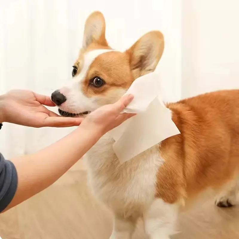 Toallitas sin enjuague para mascotas, 10 unidades por paquete, toallitas de limpieza de baño seguras, limpieza en seco, cuidado desodorizante para perros y gatos, toallitas húmedas especiales - imagen 2