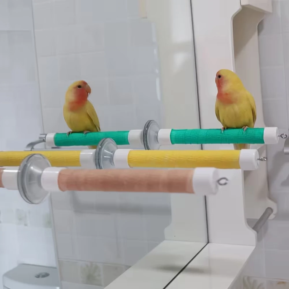 Percha ventosa para loro y periquito – Se fija en ventanas y espejos