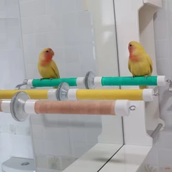 Percha ventosa para loro y periquito – Se fija en ventanas y espejos
