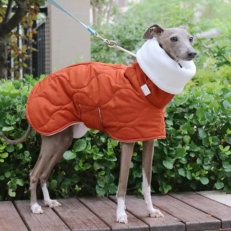 Abrigos grandes y cálidos para perros, Chaqueta de algodón de galgo, protección del cuello, ropa de diseñador de lujo para perros con cinturón, suministros gruesos para mascotas, invierno
