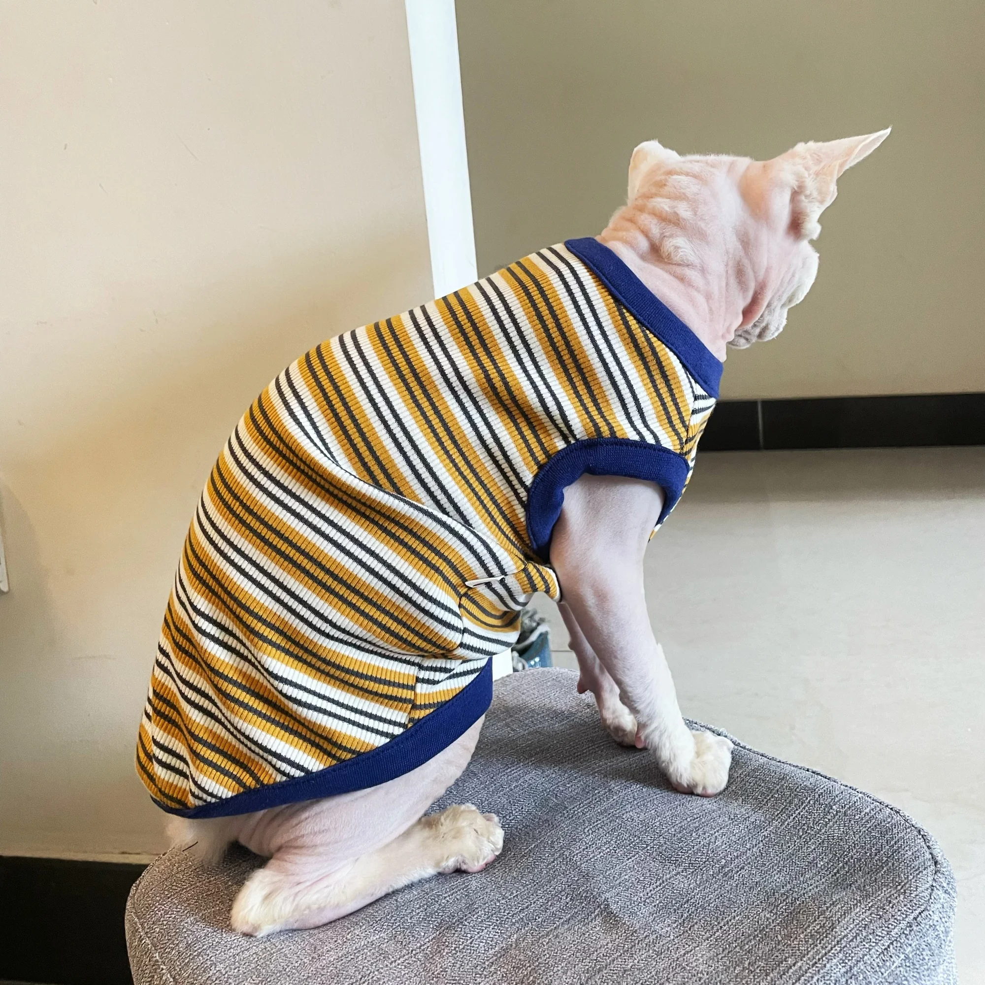 Camiseta para gatos Sphynx y Devon Rex de algodón a rayas sin pelo - imagen 5