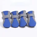 1 Strap-Blue