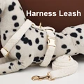 harness leash