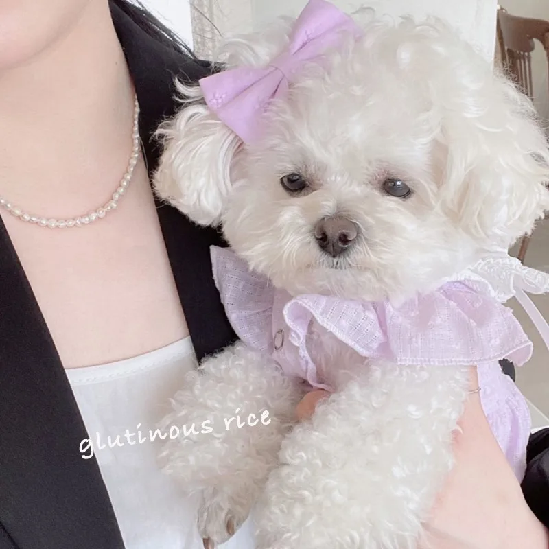 Vestido de falda de princesa para mascotas, ropa fina de verano para perros, cachorro de peluche, Schnauzer de Pomerania, vestido para perros pequeños y gatos - imagen 3