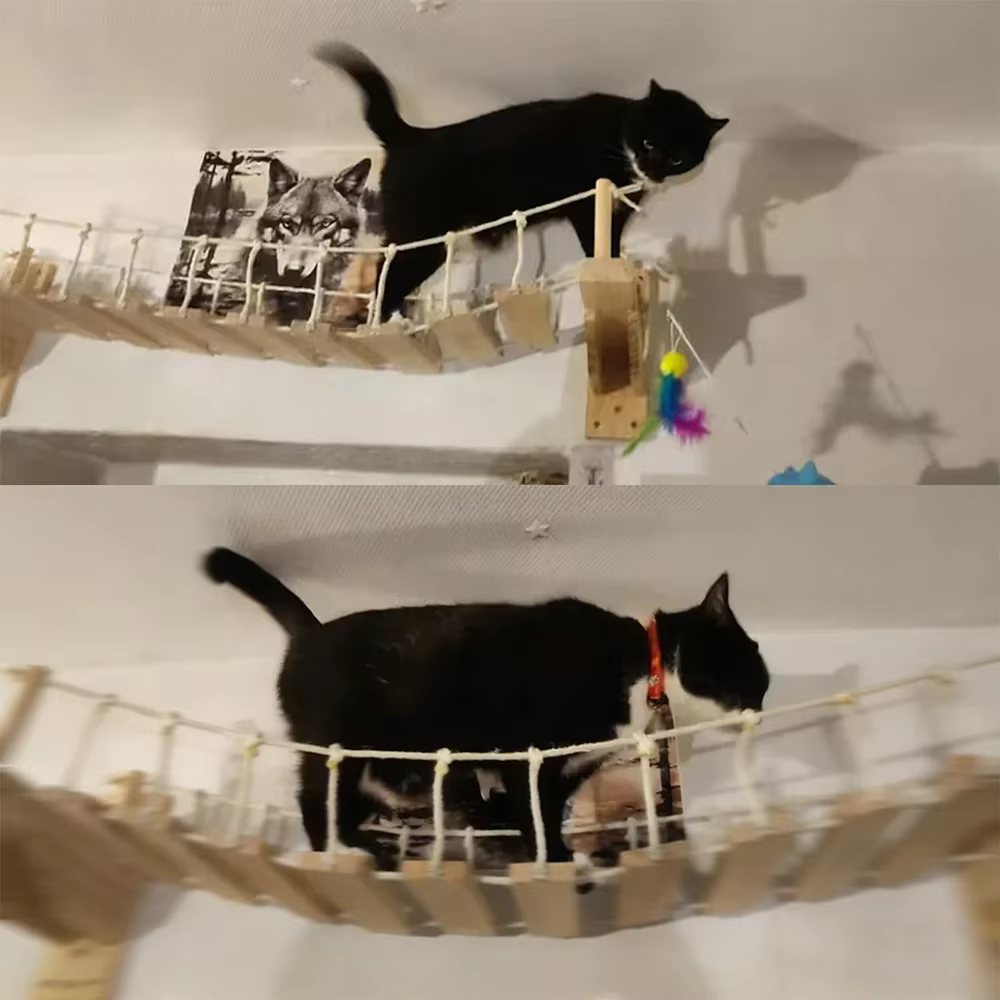 Escalera sisal para gatos de pared con peldaños y puente colgante - imagen 5