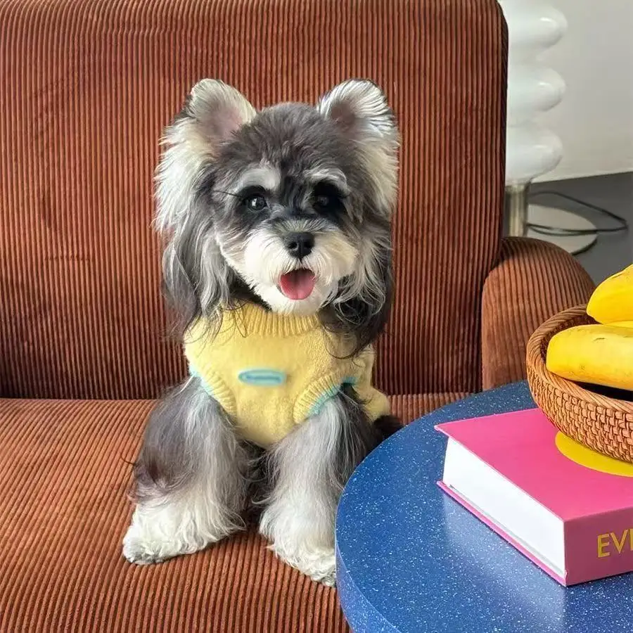 Chaleco tejido de dibujos animados de otoño e invierno, suéter bordado bonito, ropa cálida para mascotas, ropa para perros y gatos de amor para perros pequeños - imagen 2