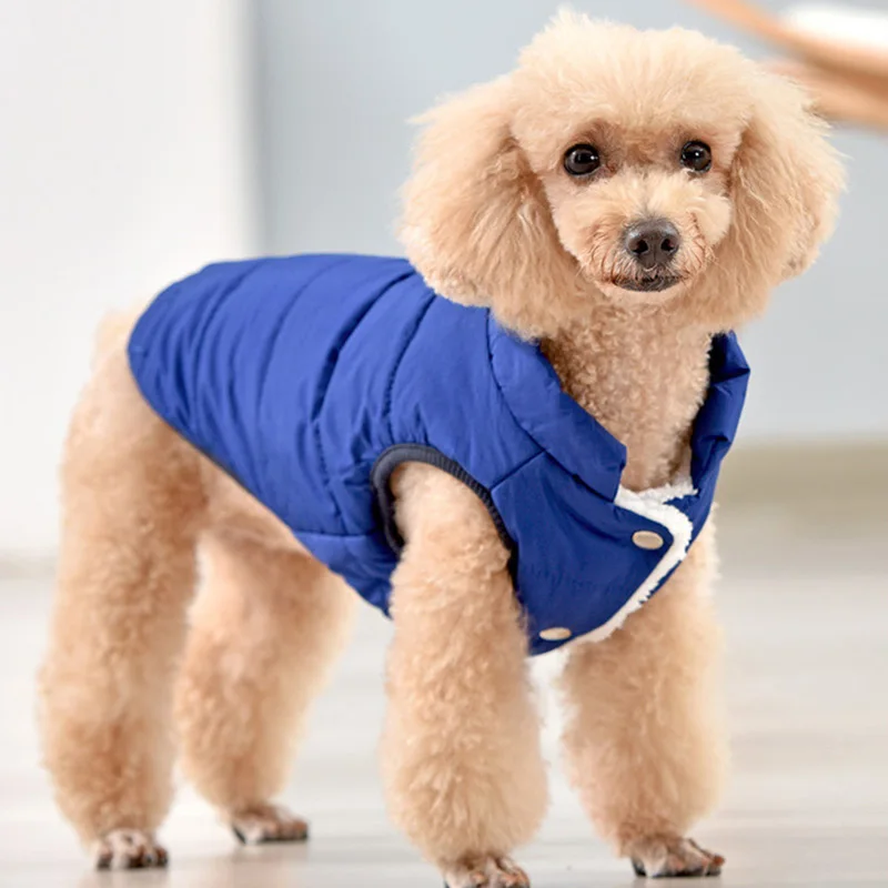 Ropa gruesa para perros, chaqueta para cachorros de otoño e invierno, abrigo cálido para mascotas para perros pequeños y medianos, disfraces de Chihuahua y Yorkshire - imagen 2
