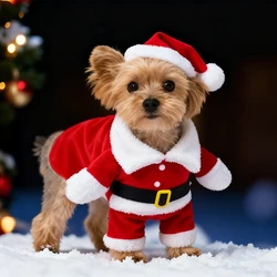Lindo traje de Papá Noel para perros, disfraz de Navidad para perros pequeños, gatos, Yorkie, ropa de Cosplay, mono, suministros para regalos de fiesta