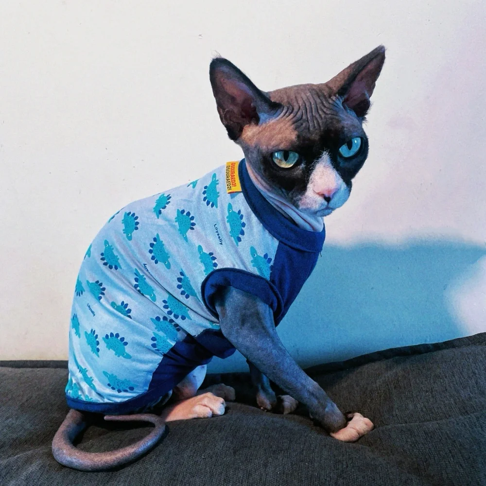 Chaleco fino de algodón de verano para gato sin pelo, camiseta sin mangas de dinosaurio de dibujos animados azul para esfinge en primavera, mono suave para cachorros - imagen 3