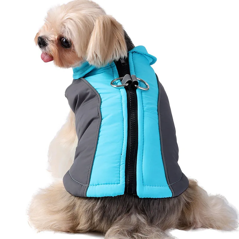 Ropa de invierno para perros, disfraz acolchado de algodón con cremallera, abrigo para perros pequeños, chaqueta para perros pequeños Shih Tzu Dachshund, chaleco para cachorros XS - imagen 4