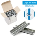 600 Pcs Nails