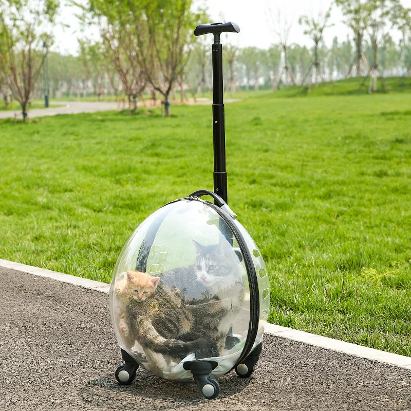 Cubierta de carrito transparente para mascotas, carrito portátil de viaje para perros y gatos, carrito de gran capacidad con ventilación, suministros y accesorios para transportar mascotas - imagen 2